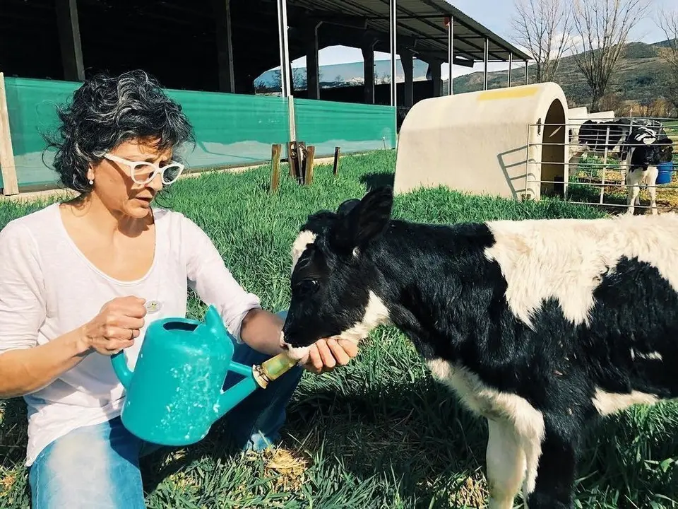 Dona mÓn Rural