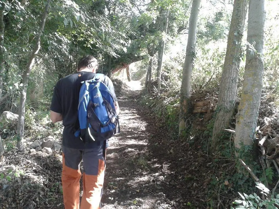 Camins 2