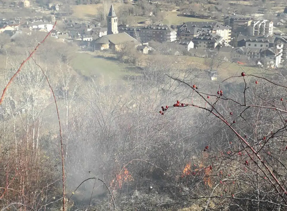 Foc a Sort