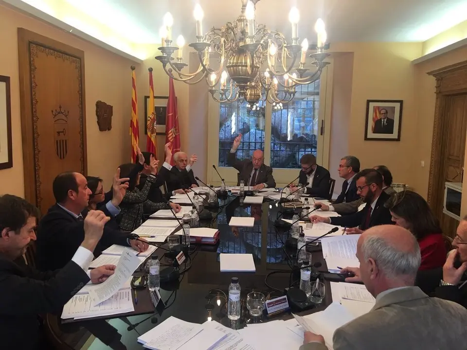 Ple Conselh 25 de febrer 2019 1