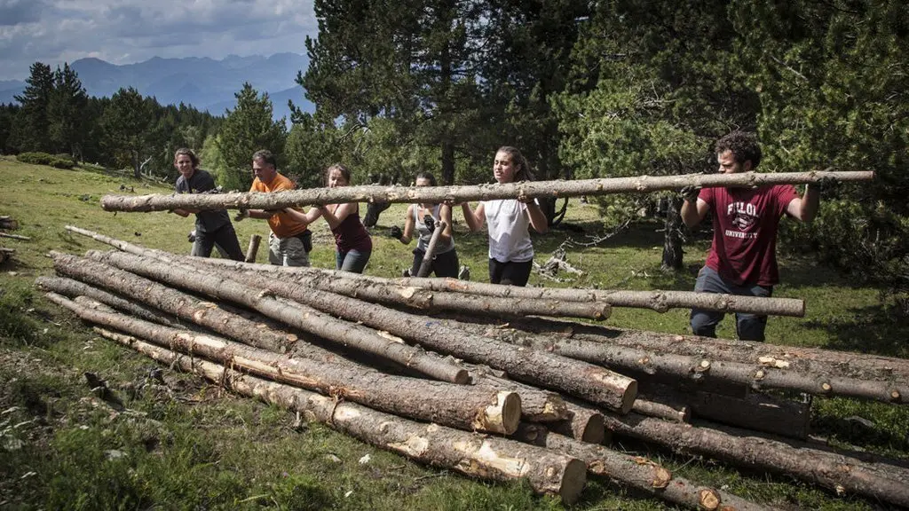 Projecte Boscos de Muntanya (1)