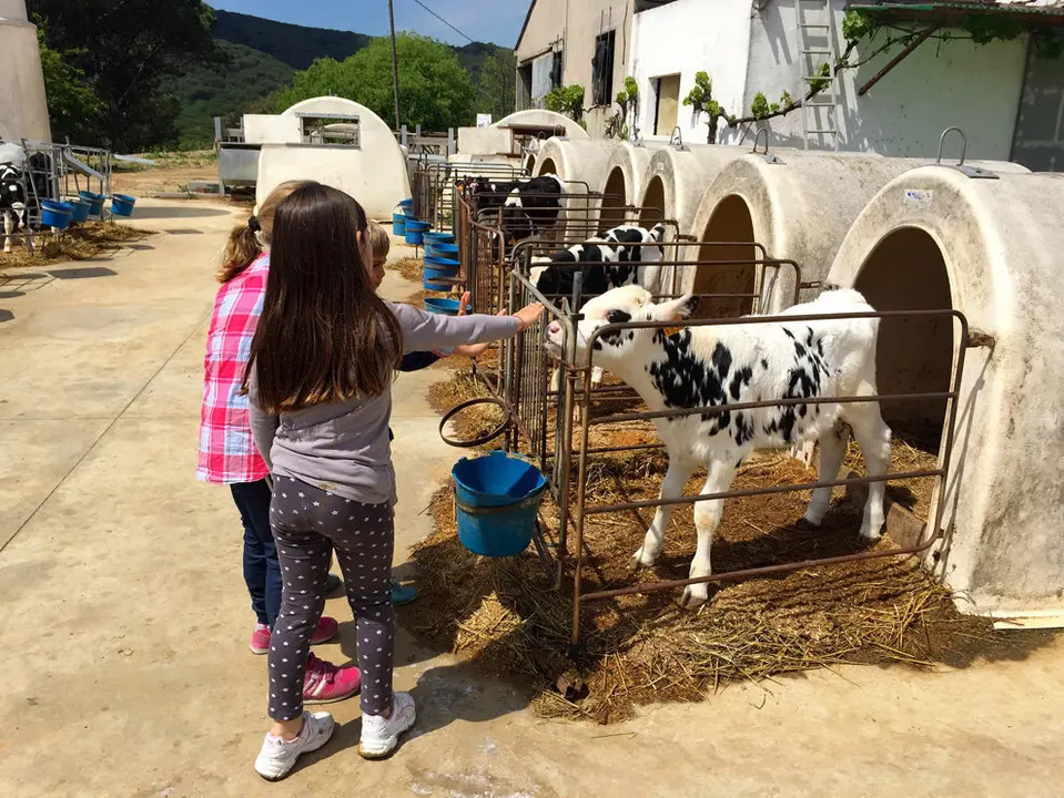 Benvingut a Pagès 1