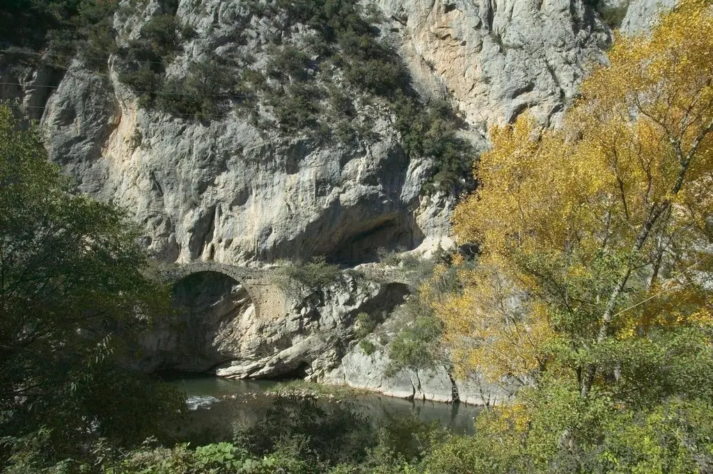 pontarrons (1)