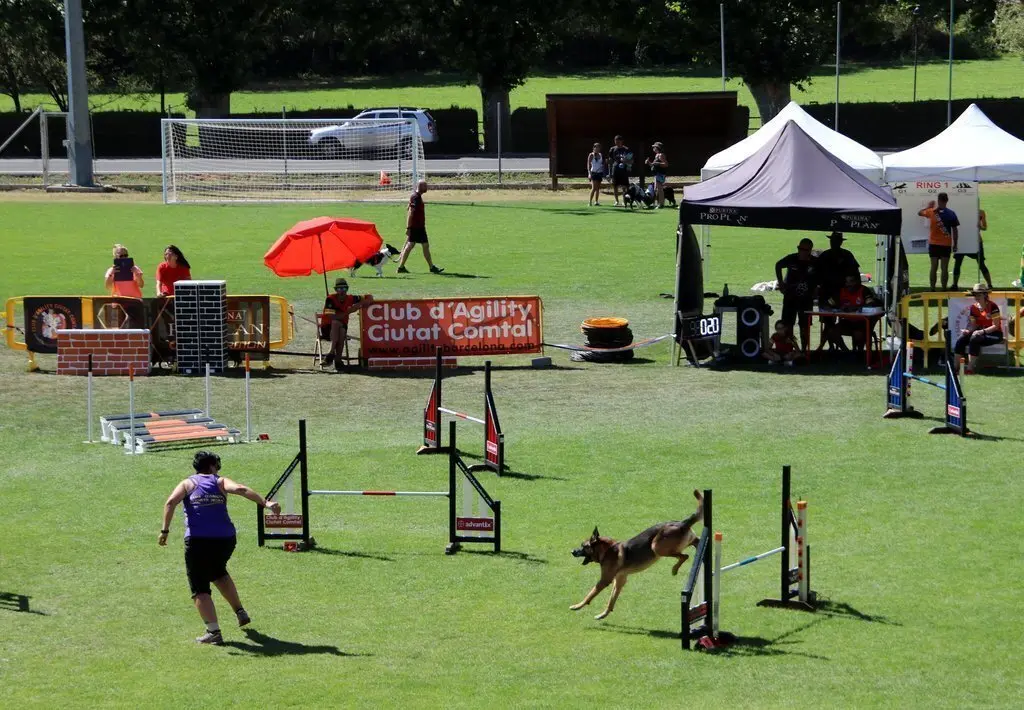 Pla general duna participant competint amb el seu gos a Rialp Summer Agility. Imatge del 8 d'agost del 2019. (horitzontal)
