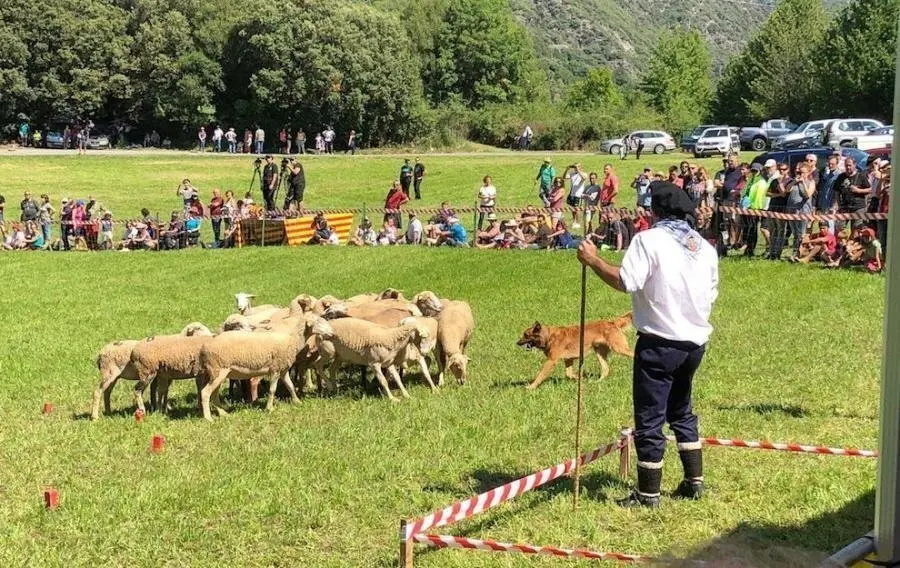  Llavorsí Ajuntament