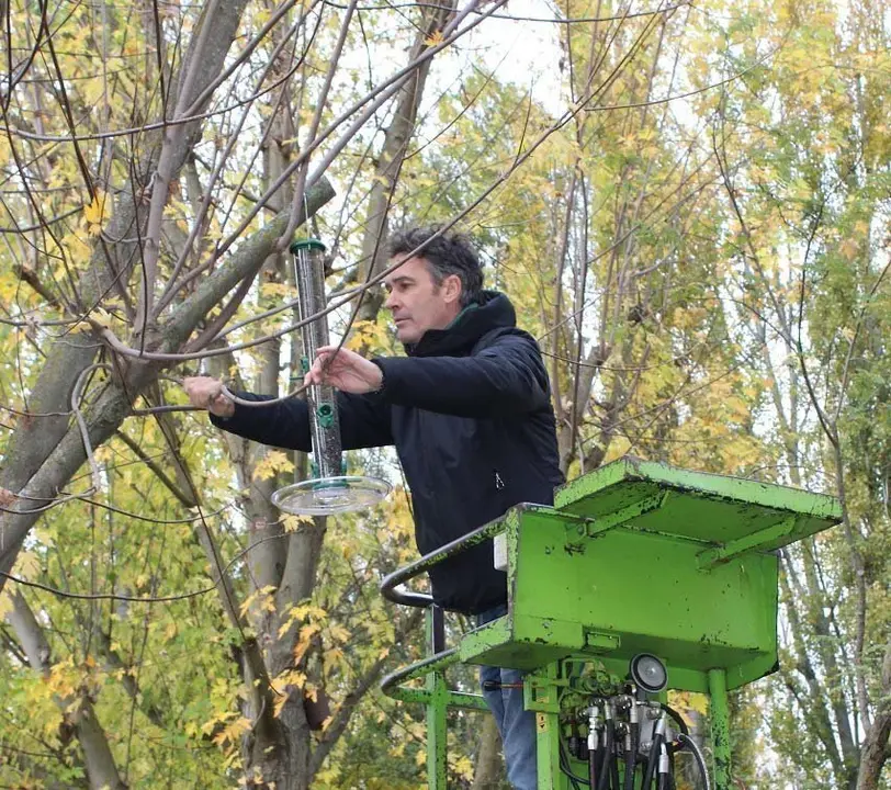 Jordi Dalmau