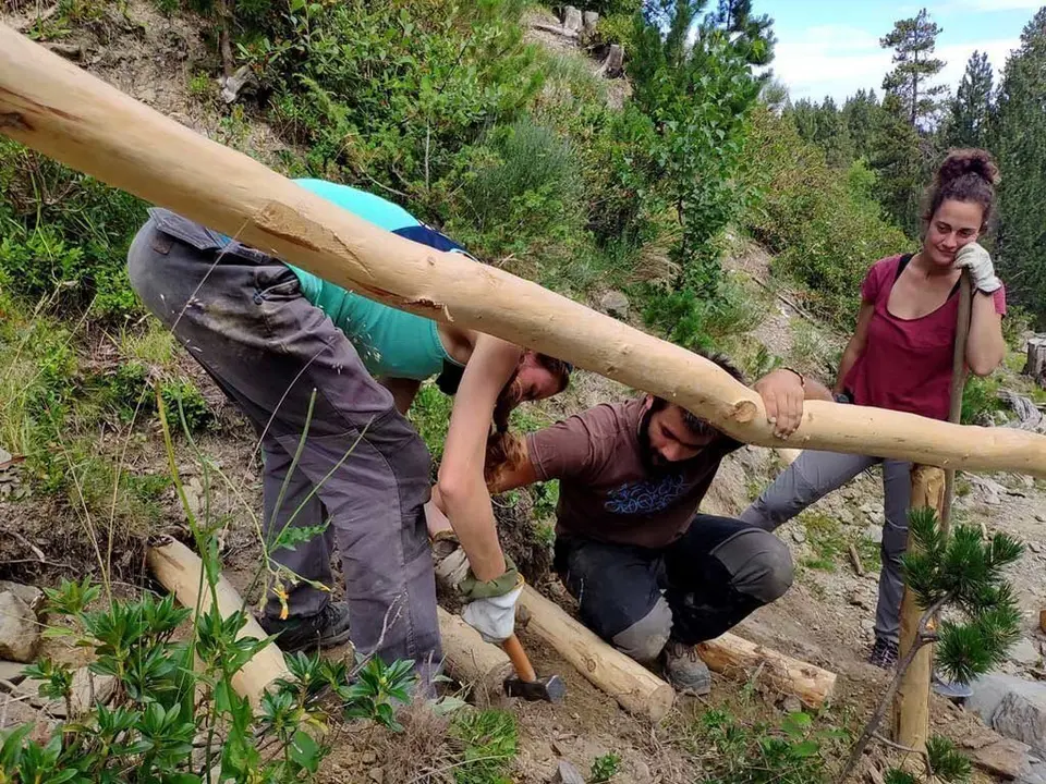 Projecte Boscos de Muntanya - 2