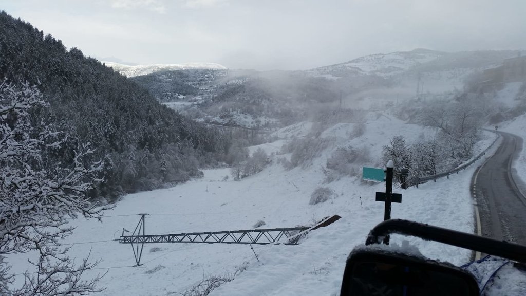 Pla de detall d'una torre caiguda a la zona de la vall de la Vansa a causa del temporal de neu i vent. Imatge facilitada per l'Ajuntament de la Vansa i Fórnols el 22 de gener de 2020 (Horitzontal).