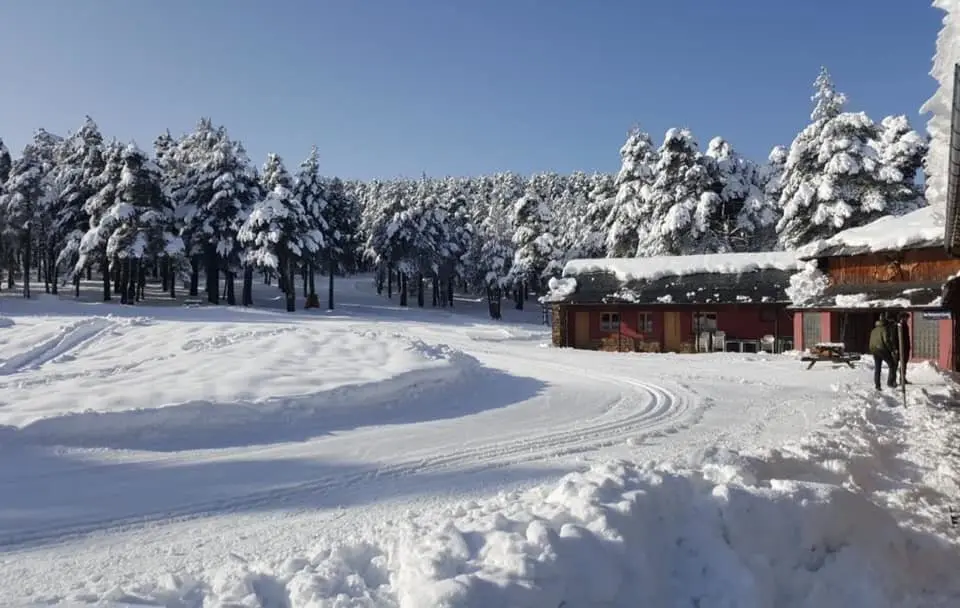 Sant Joan de L'Erm
