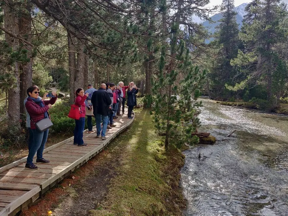 Pla obert on es poden veure visitants al Parc Nacional d'Aig&radic;&ordm;estortes i Estany de Sant Maurici, l'estiu de 2019. (Horitzontal)