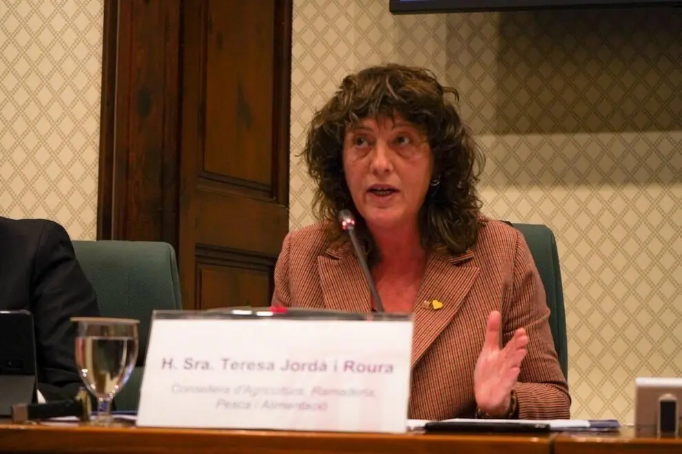 Teresa Jordà Parlament 2