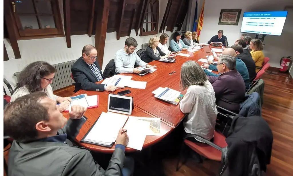ple Consell Comarcal Alt Urgell