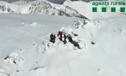 Puigpedr&oacute;s agents rurals