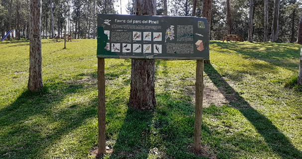 remodelaci&oacute; Pinell (1)
