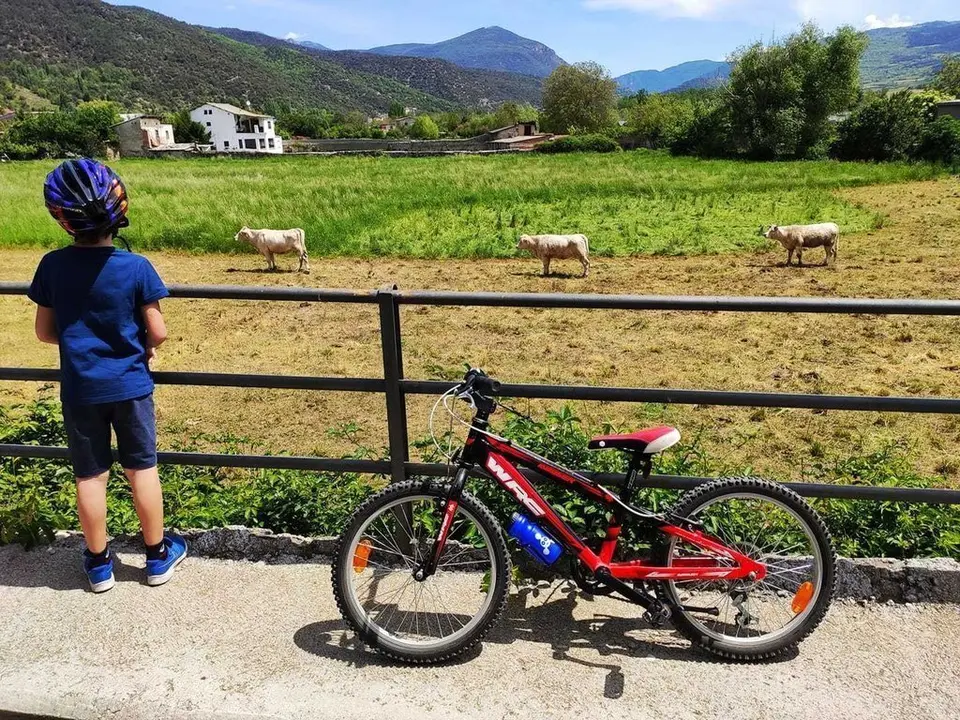 Nen amb bici