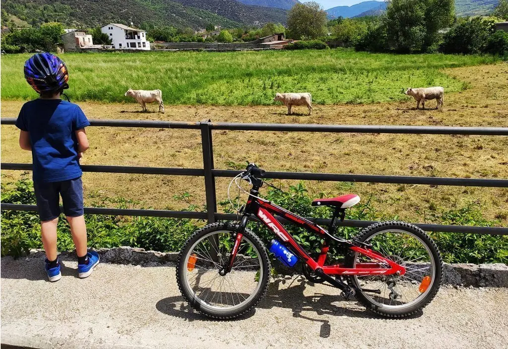 Nen amb bici