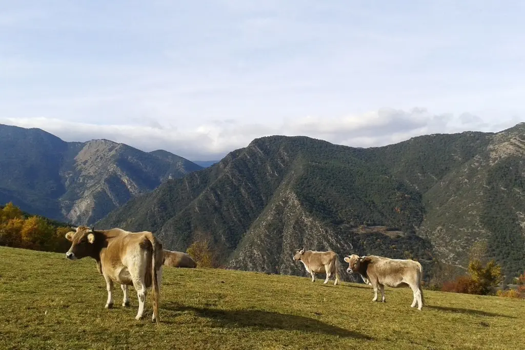 Farrera Parc Natural de l'Alt Pirineu
