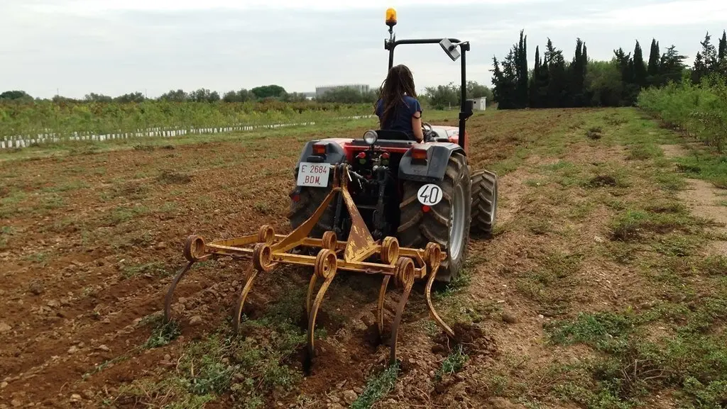 Foto-Escola Agricultura