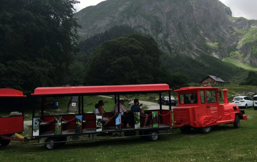 Tren toristic aran