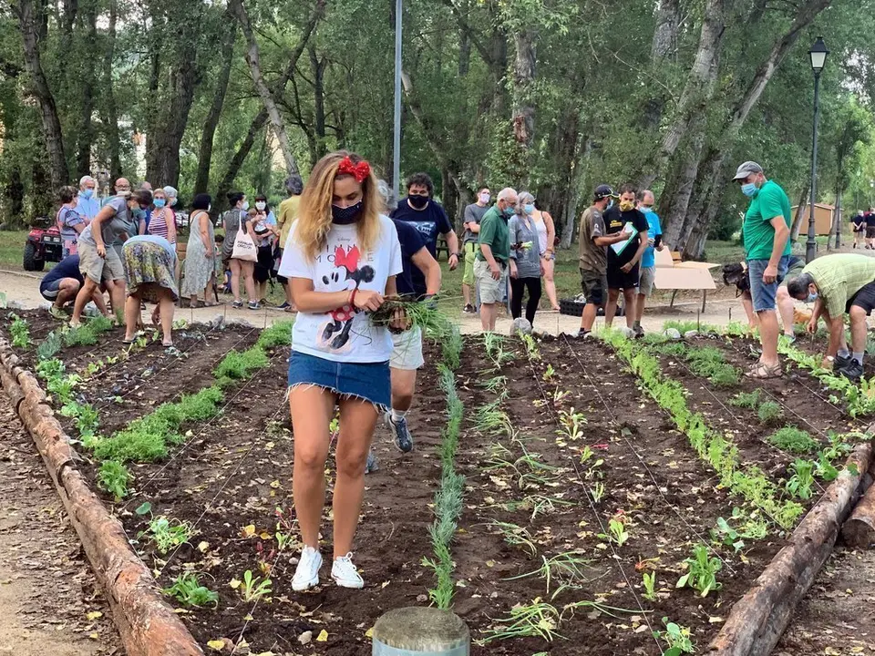 Ve&iuml;ns de Senterada plantant al jard&iacute; comestible que han constru&iuml;t. Imatge de l'11 d'agost del 2020. (horitzontal)