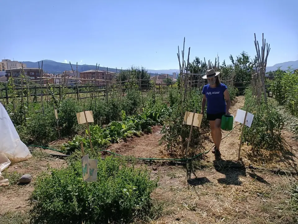 Una persona cultivant l'hort que Alba Juss&agrave; t&eacute; a Tremp. Imatge del 20 d'agost del 2020. (horitzontal)