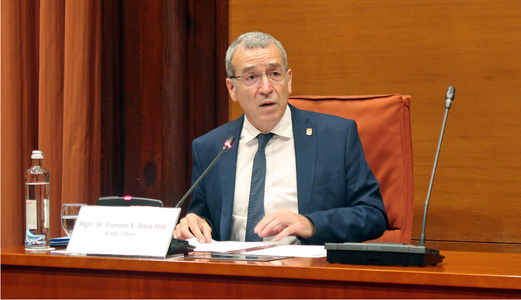 S&iacute;ndic d'Aran al Parlament bis