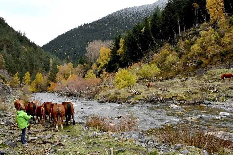 La Vall de Bonab&eacute;