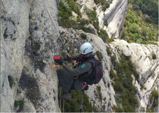 Ruta escalada