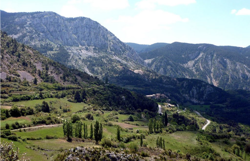 L'Alzina d'Aliny&agrave;