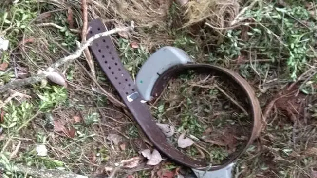 Collar os Goiat