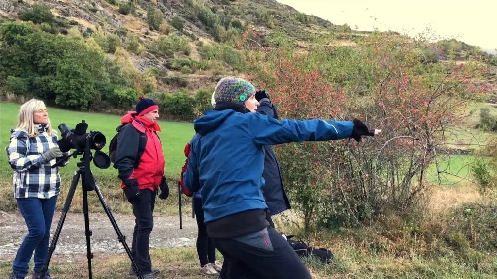 A la muntanya, deixa't guiar bis