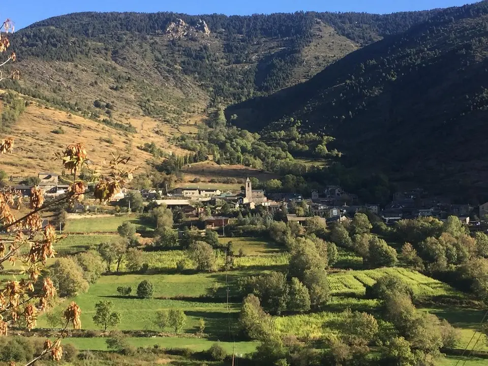 Meranges