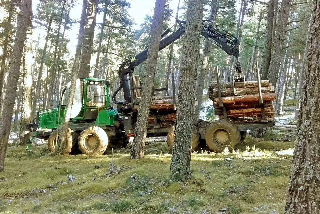 Gesti&oacute; forestal