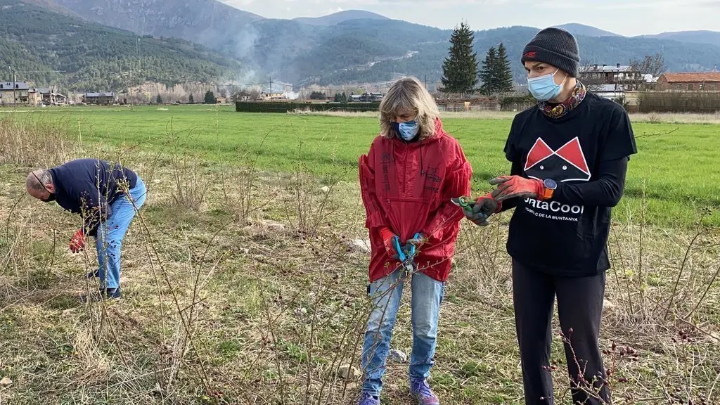 Pla obert d'una de les impulsores de l'empresa Gratacool, Emma Roca, mostrant les tasques de poda del roser silvestre, que ara assumeixen des de la Cooperativa Incorpora'm de la Fundaci&oacute; Adis. Imatge del 9 d'abril de 2021 (Horitzontal).