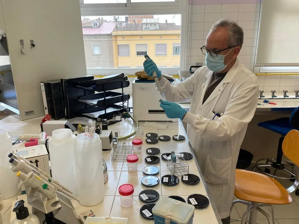 Pla obert on es veu una persona de l'Ag&egrave;ncia de Salut P&uacute;blica analitzant si hi ha legionel&middot;la a les mostres que han arribat al laboratori. Imatge del 13 de juliol de 2021. (Horitzontal)