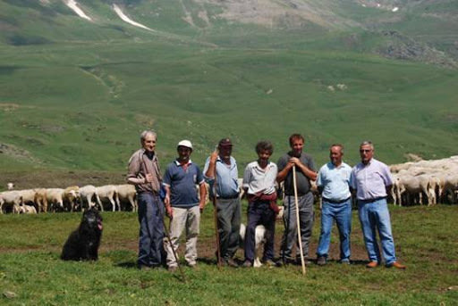 Pastors a la muntanya de Llessui