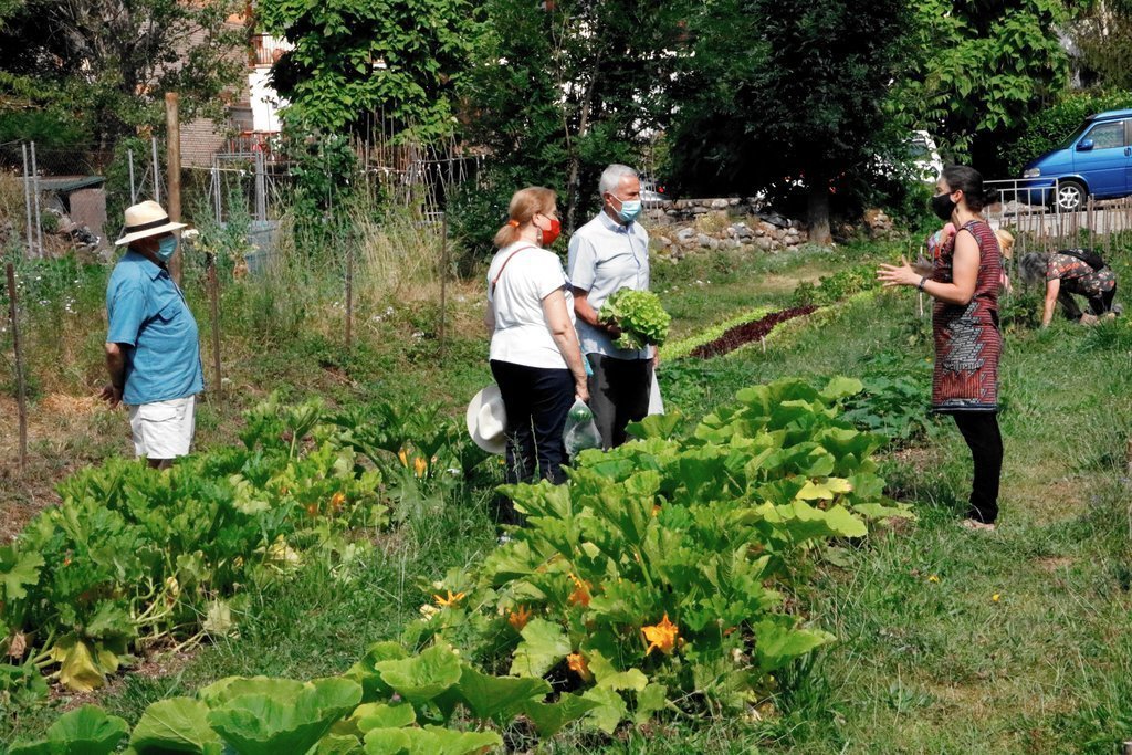 Pla general de l'hort comunitari de Senterada amb gent collint verdura el 27 de juliol del 2021. (Horitzontal)