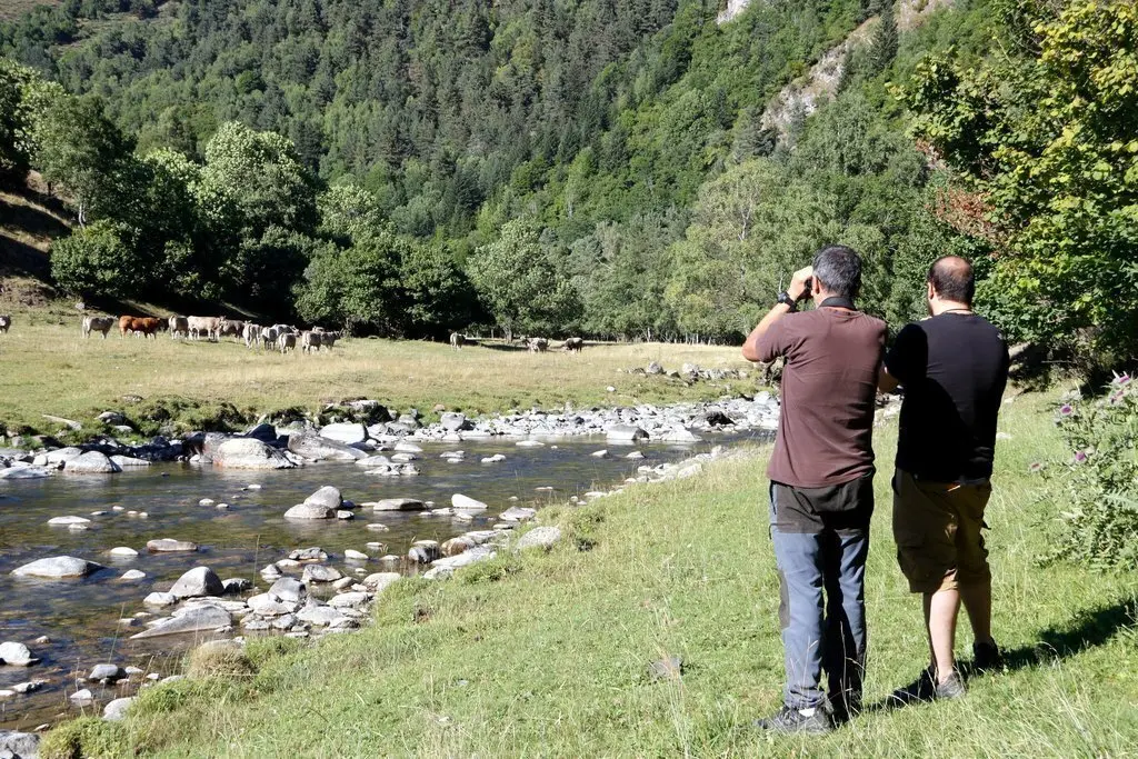 Pla general de dos persones observant un ramat de vaques a la Vall de Bonab&eacute;, al Pallars Sobir&agrave; el 20 d'agost del 2021. (Horitzontal)