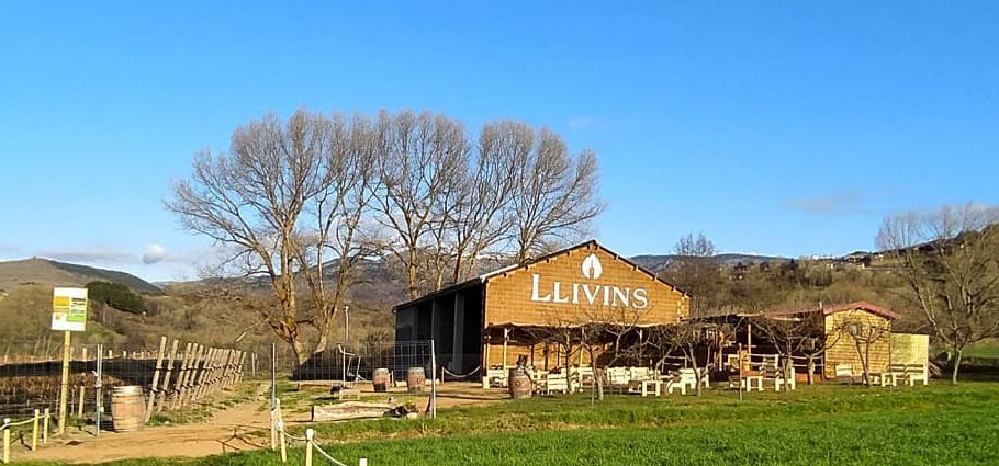 Llivins celler Cerdanya 3