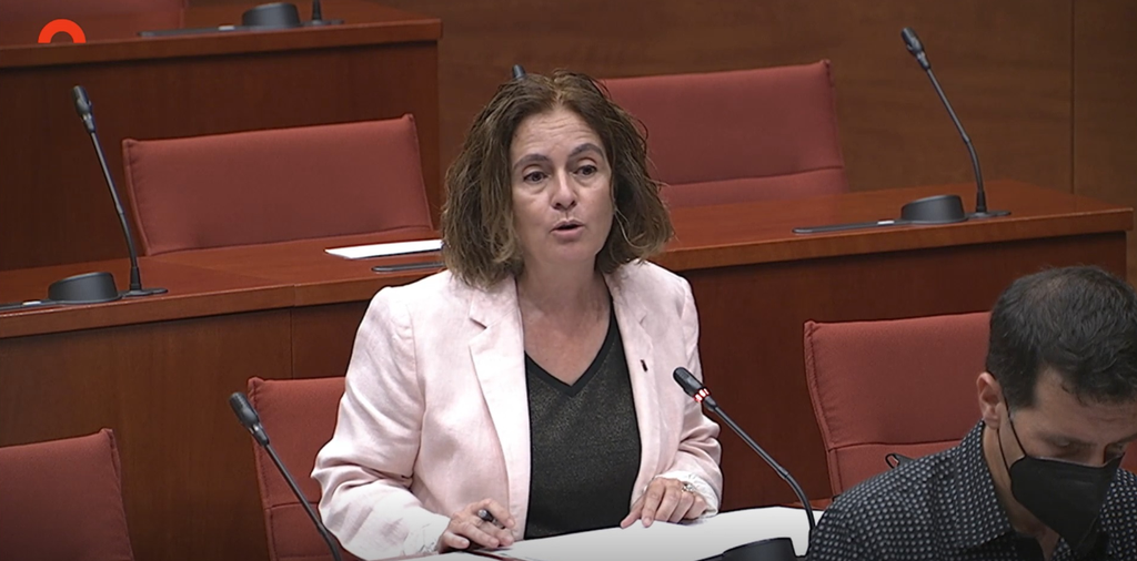 S&iacute;lvia Romero Parlament