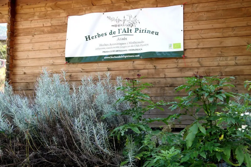 Pla de detall de l'empresa Herbes de l'Alt Pirineu, a Ara&oacute;s, al Pallars Sobir&agrave;. Imatge del 22 de setembre del 2021. (Horizontal)