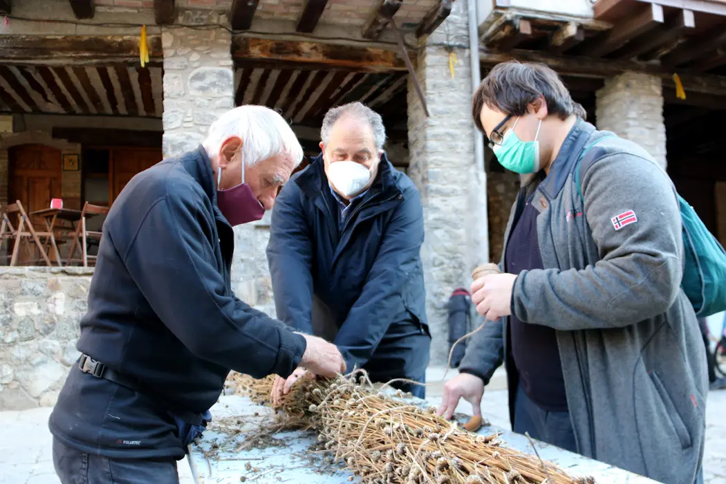 Pla mitj&radic;&dagger; de l'elaboraci&radic;&ge; d'una faia a Bag&radic;&dagger;. Imatge del 28 d'octubre de 2021 (Horitzontal)