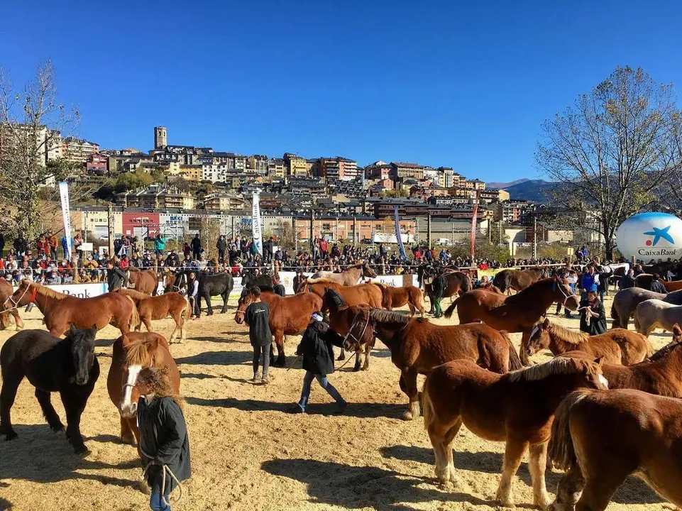 Fira i Concurs cavall Puigcerdà 2021
