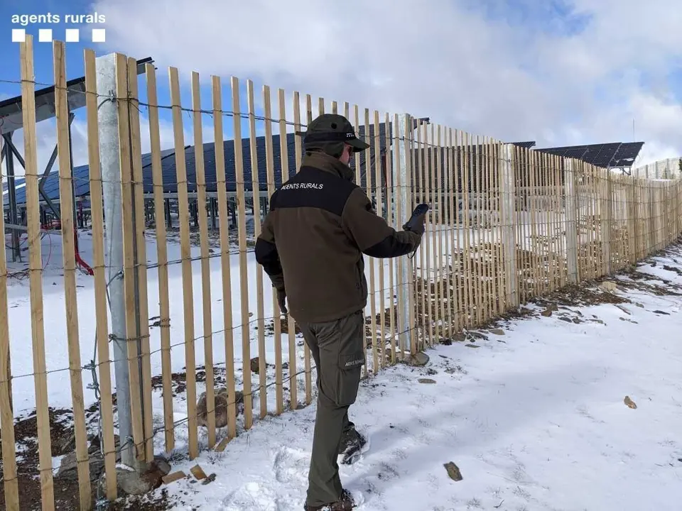 Pla general d'un efectiu dels Agents Rurals davant de la construcci&oacute; d'un parc solar a la zona del Planell de la Tosa. Imatge cedida el 17 de novembre del 2021 (Horitzontal)