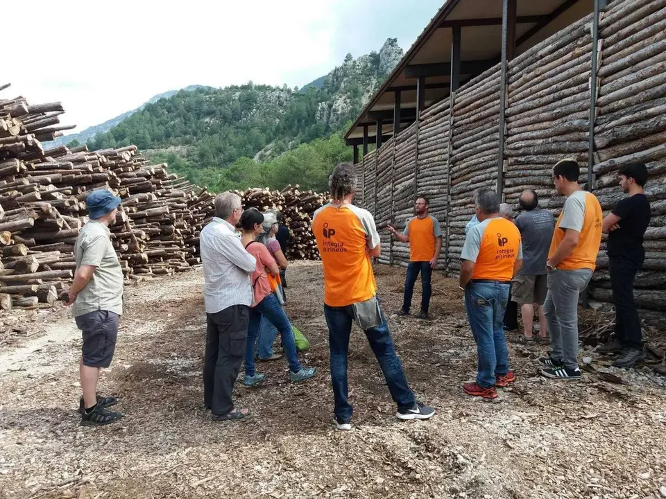 gesti&oacute;_forestal