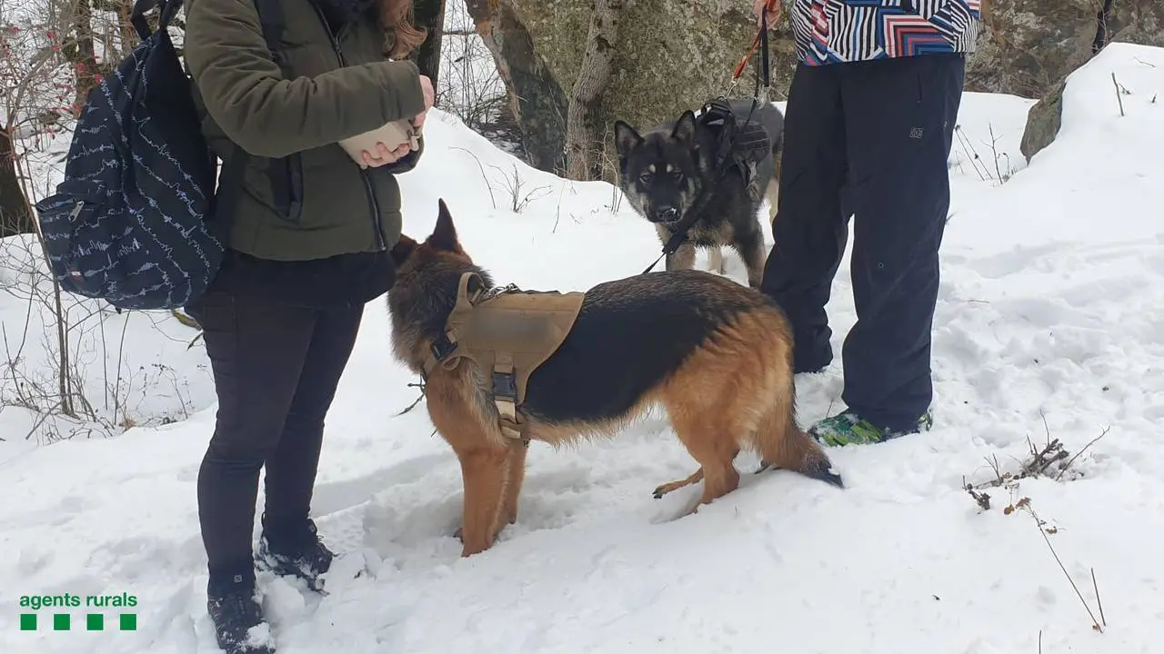 Den&uacute;ncia agents rurals Vall Fosca