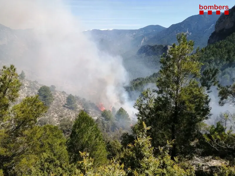 Incendi vegetaci&oacute; Montanissell