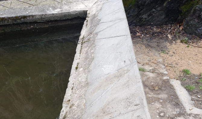 Safareig Ta&uuml;ll