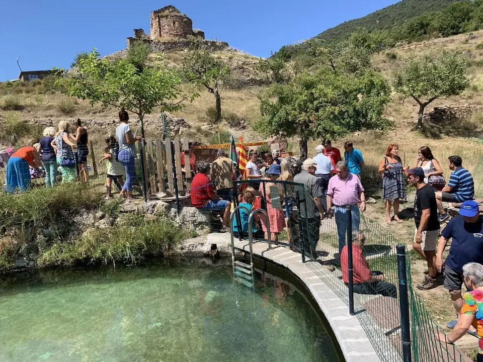 IMG_0586