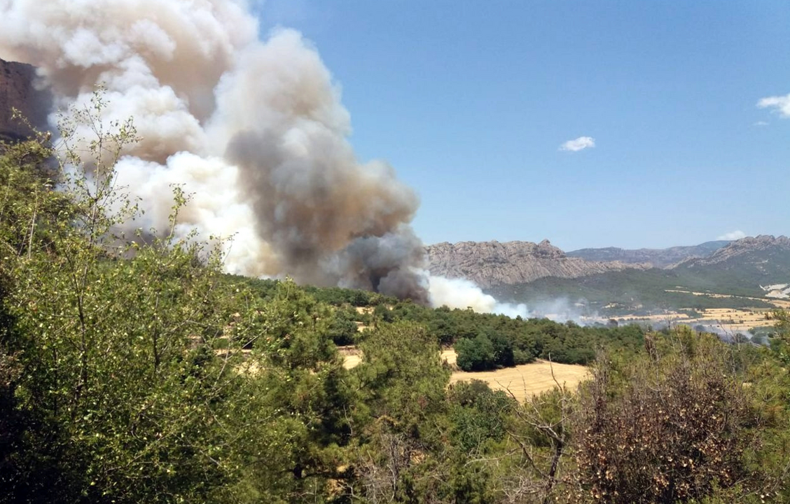 Incendi Peramola Oliana
